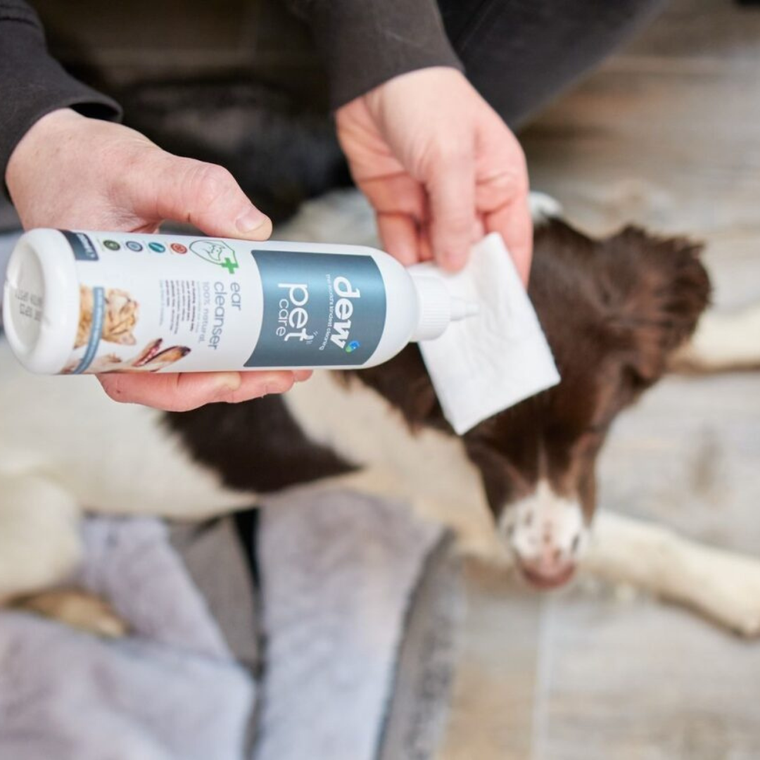Dew Pet Ear Cleanser – Fast Acting 100% Mineral Antibacterial | Refillable
