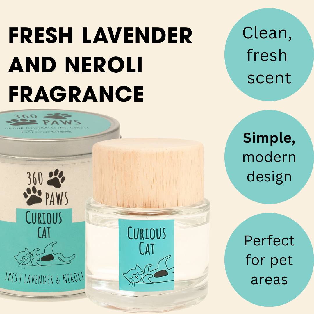 Curious Cat Odour Neutralising Candle & Diffuser 360 Paws
