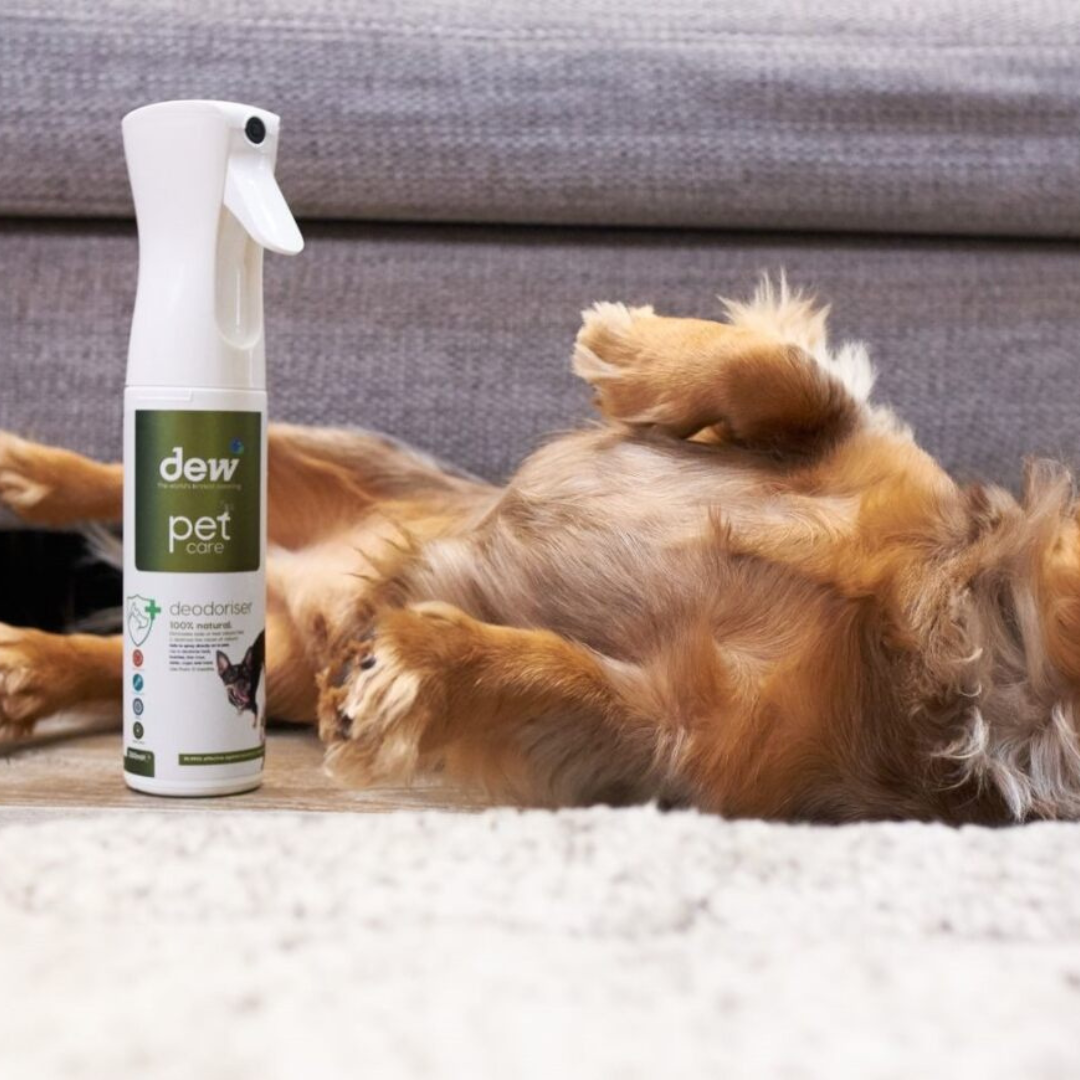 Dew Pet Deodoriser – 100% Mineral Hypoallergenic Anti-Bac Properties, Stops Smell, Fragrance-Free | Refillable