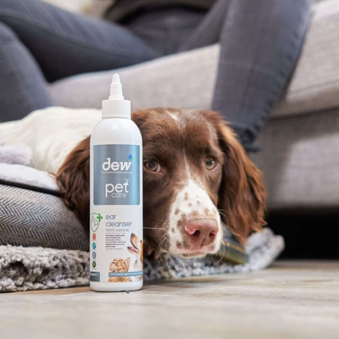 Dew Pet Ear Cleanser – Fast Acting 100% Mineral Antibacterial | Refillable
