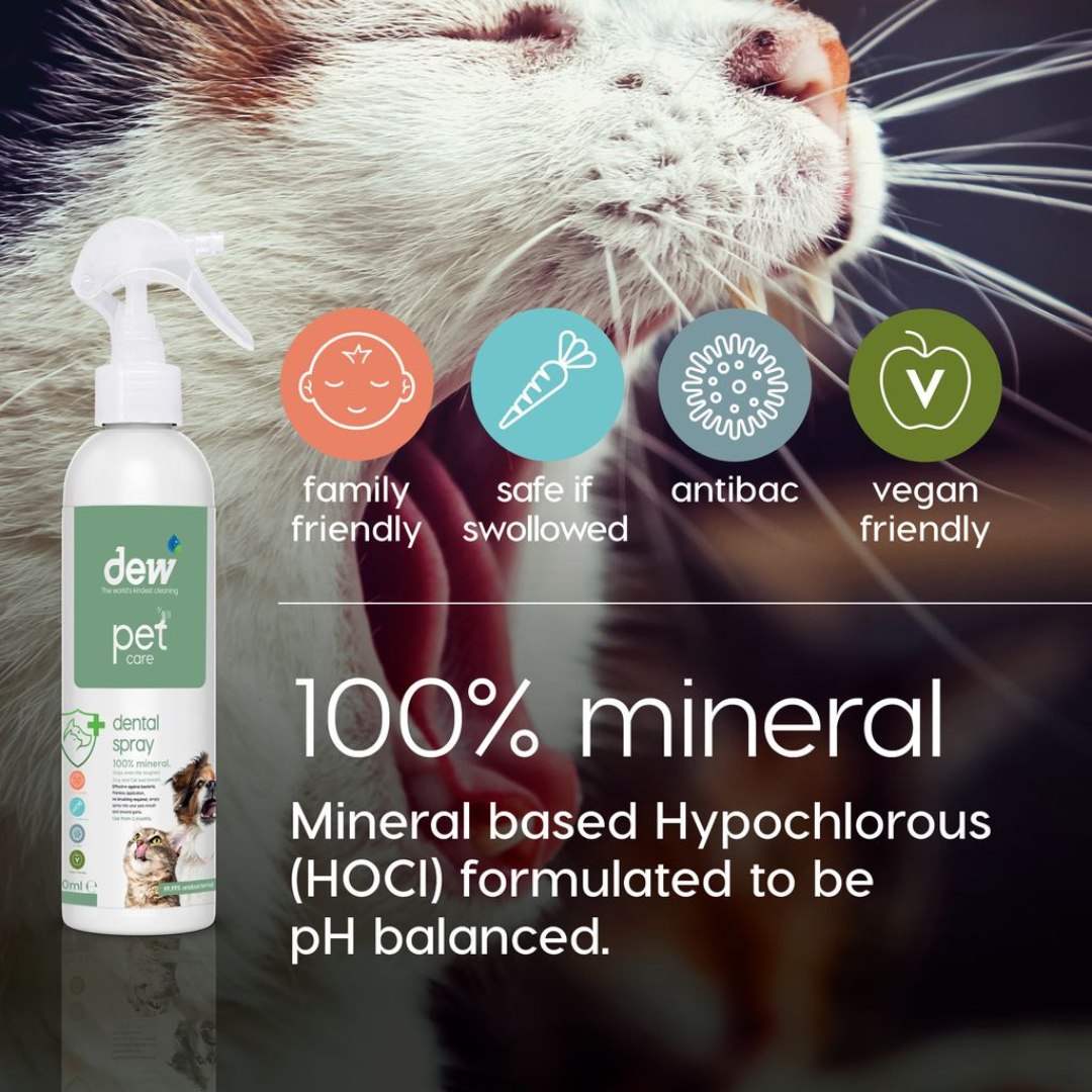 Dew Pet Dental Spray – 100% Mineral HOCl, Gentle, Fast Acting
