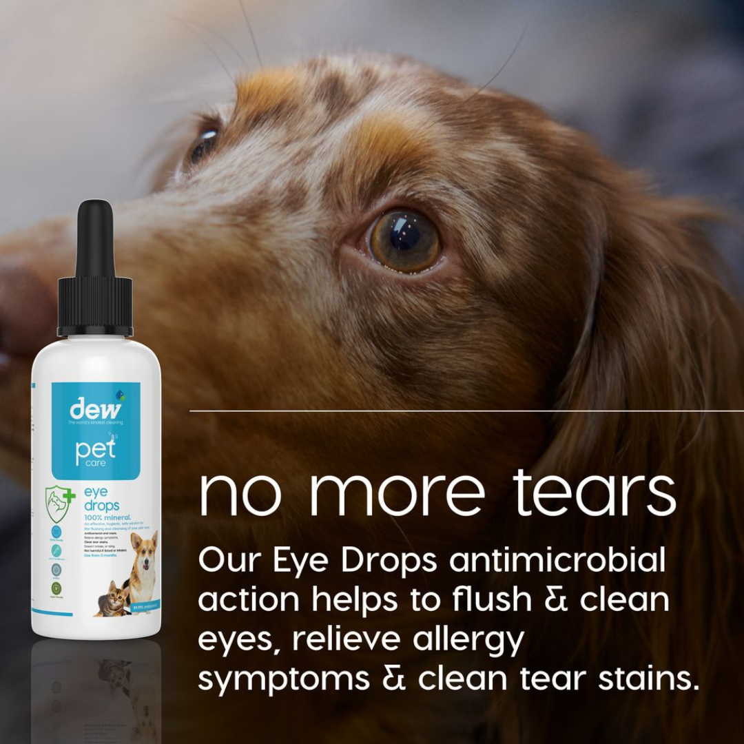 DEW Pet Wellness Essentials Bundle | Complete Everyday Care for Happy, Healthy Pets