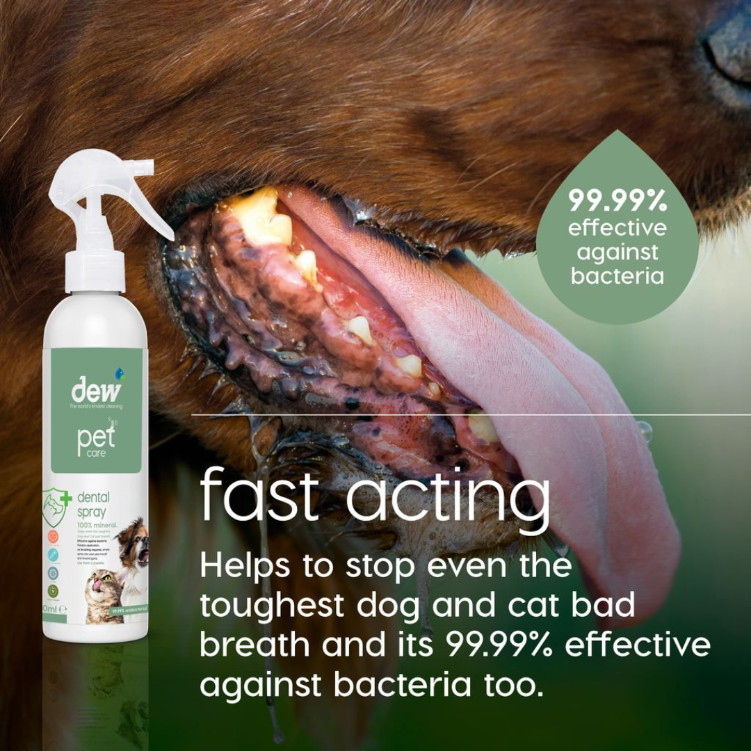 Dew Pet Dental Spray – 100% Mineral HOCl, Gentle, Fast Acting