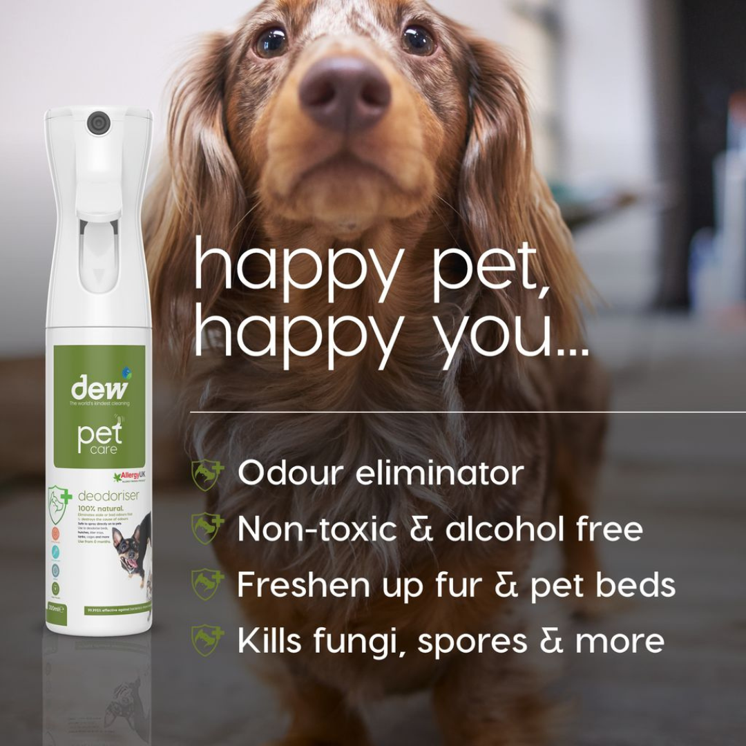 DEW Pet Wellness Essentials Bundle | Complete Everyday Care for Happy, Healthy Pets