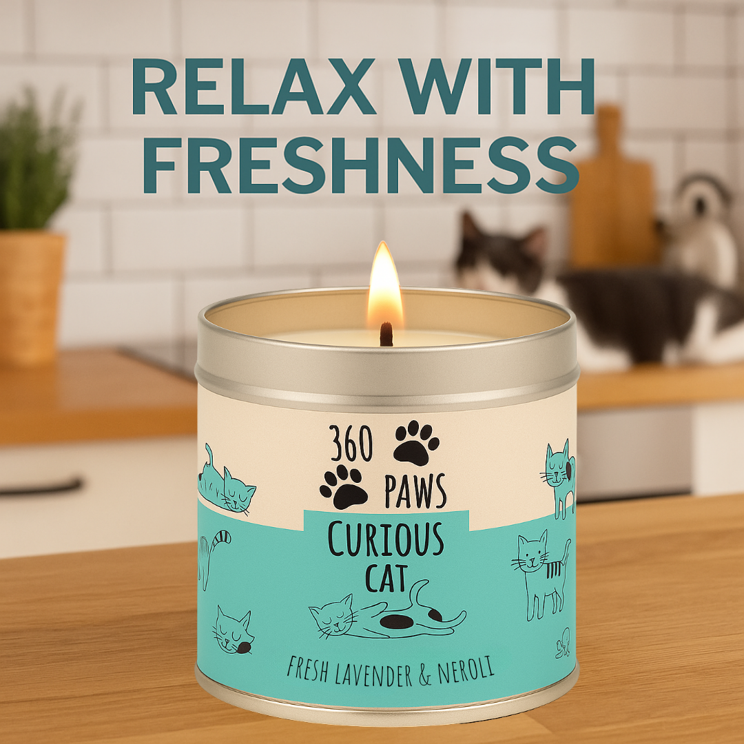 360 Paws Curious Cat Odour Neutralising Candle – Fresh Lavender & Neroli | 50hr Burn | Pet-Suitable Home Fragrance