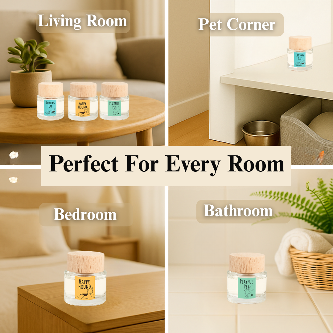 360 Paws Diffuser Trio – Pet Odour Neutralising 3-Pack with Lavender & Neroli, Jasmine & Tonka, Cotton & Musk (80ml Each)