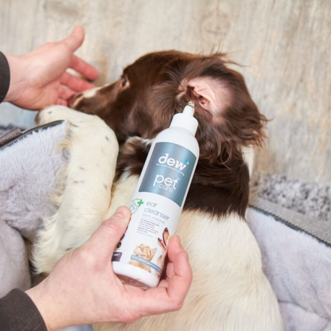 Dew Pet Ear Cleanser – Fast Acting 100% Mineral Antibacterial | Refillable