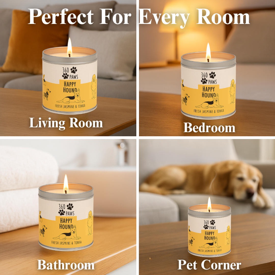 360 Paws Happy Hound Odour Neutralising Candle – Fresh Jasmine & Tonka | 50hr Pet-Safe AromaGuard™ Candle