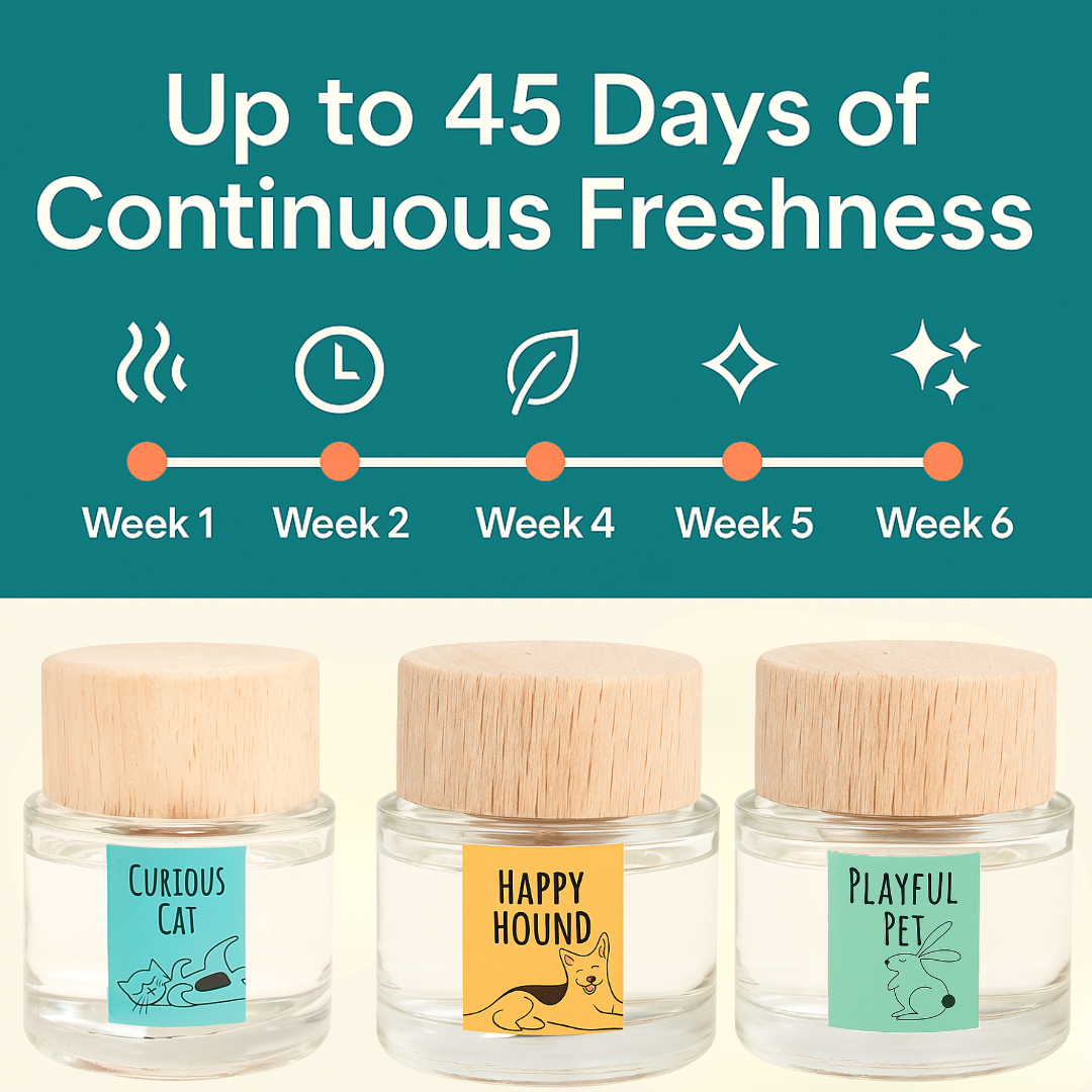 360 Paws Diffuser Trio – Pet Odour Neutralising 3-Pack with Lavender & Neroli, Jasmine & Tonka, Cotton & Musk (80ml Each)