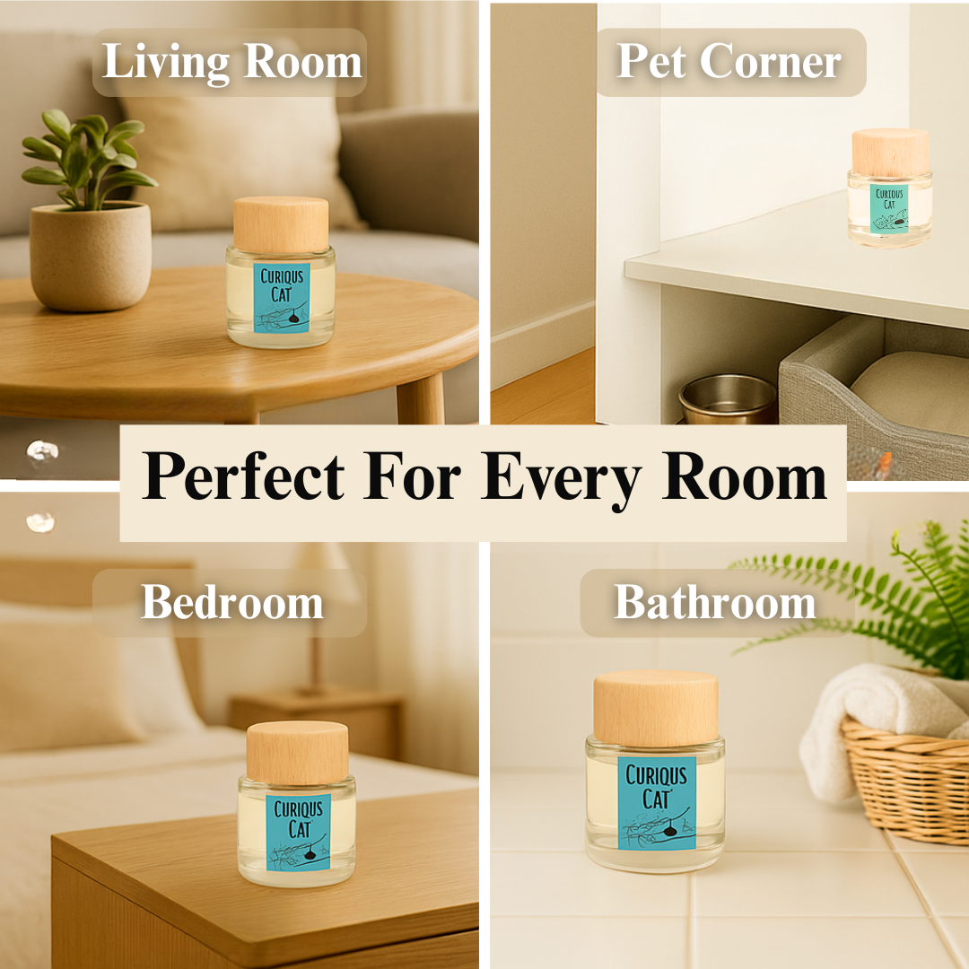 360 Paws Curious Cat Odour Neutralising Diffuser – Fresh Lavender & Neroli | No-Spill 80ml AromaGuard™ Pet Diffuser