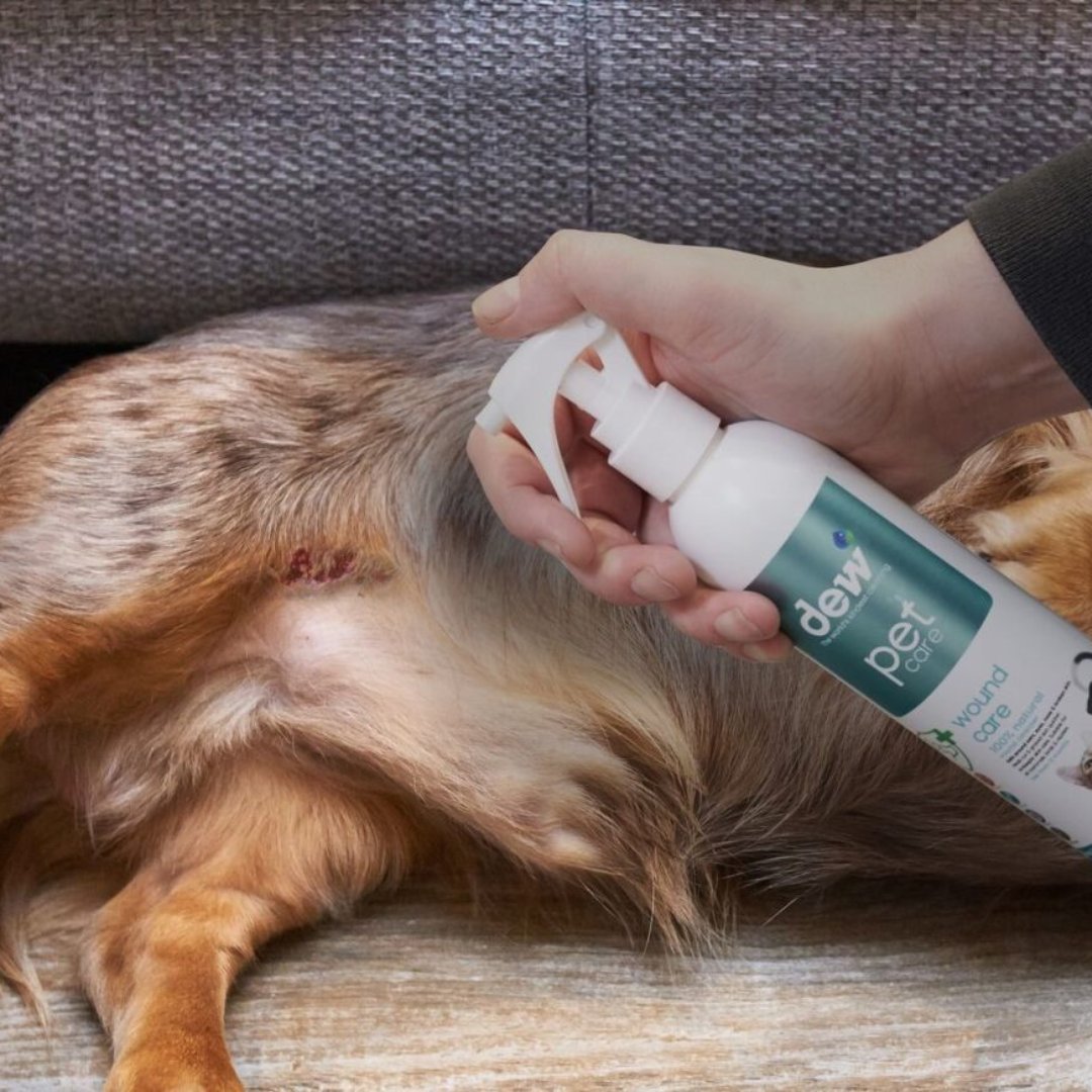 Dew First Aid Spray for Pets – 100% Mineral & Hypoallergenic 250ml