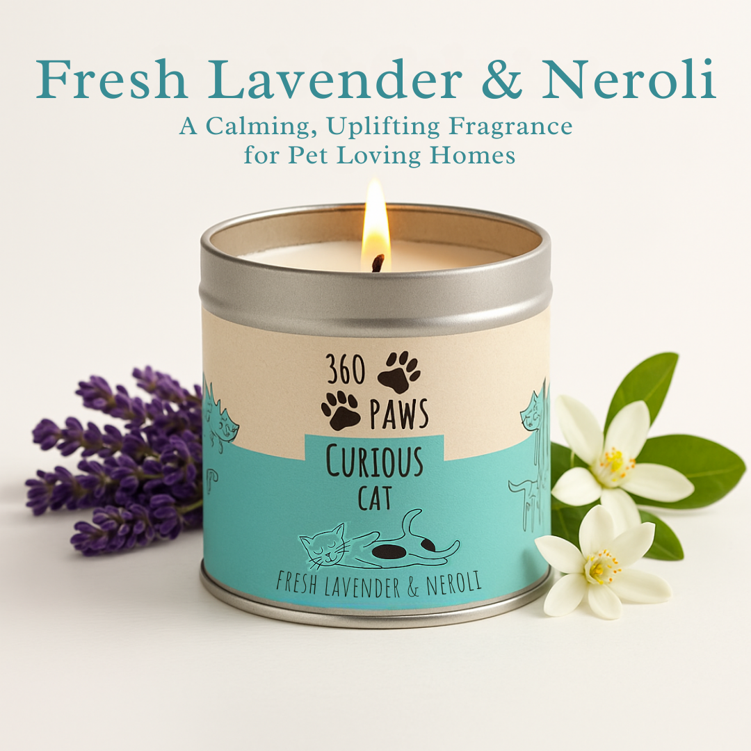 360 Paws Odour Neutralising Candle Trio – Playful Pet, Happy Hound & Curious Cat Fragrance Bundle