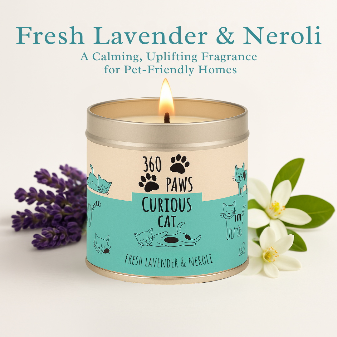 360 Paws Curious Cat Odour Neutralising Candle – Fresh Lavender & Neroli | 50hr Burn | Pet-Suitable Home Fragrance