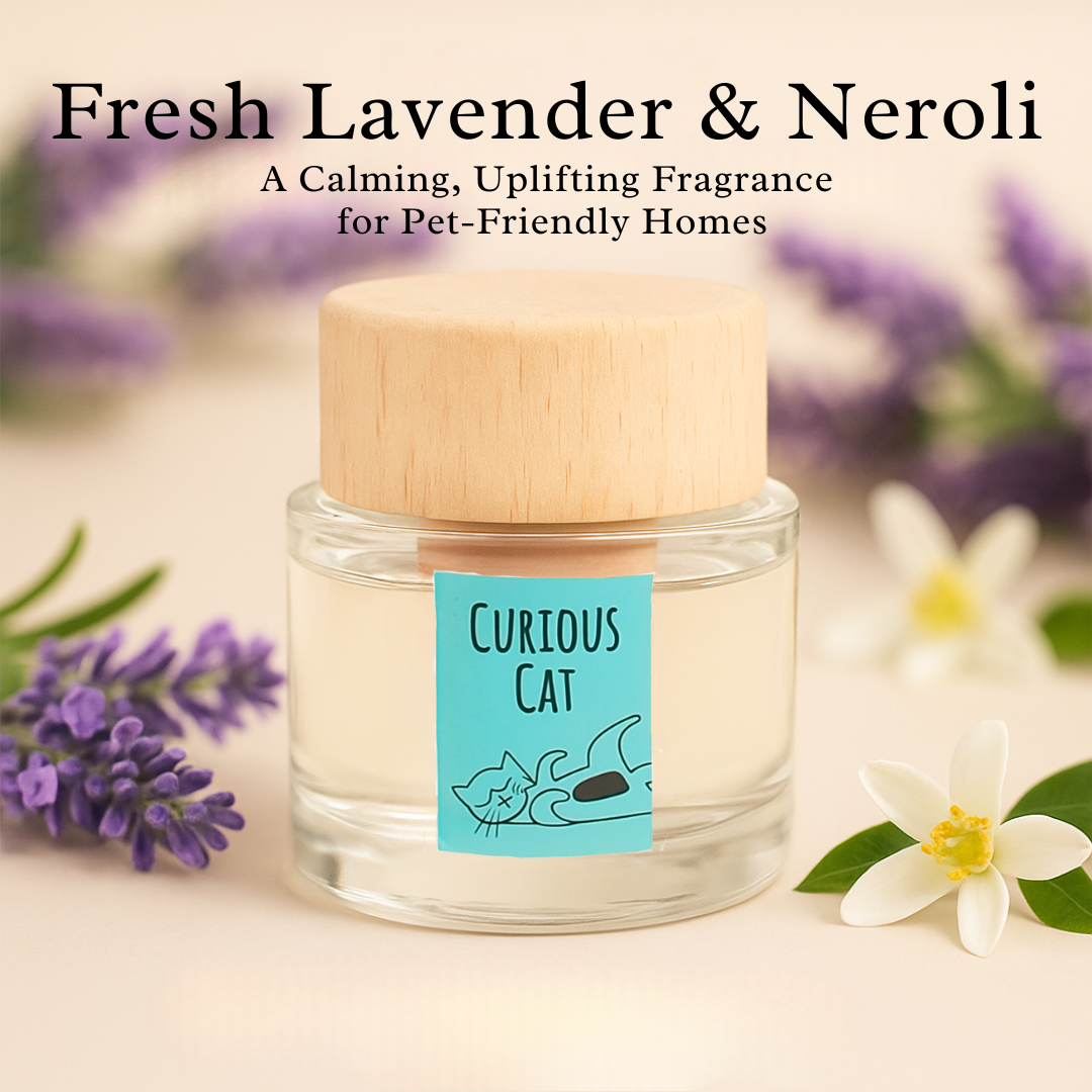 360 Paws Diffuser Trio – Pet Odour Neutralising 3-Pack with Lavender & Neroli, Jasmine & Tonka, Cotton & Musk (80ml Each)