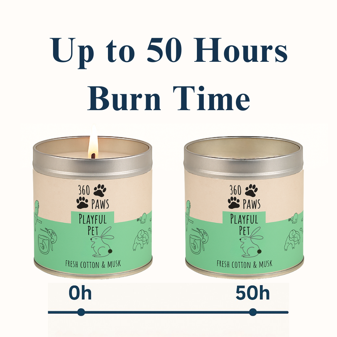 360 Paws Playful Pet Odour Neutralising Candle – Fresh Cotton & Musk | 50hr Pet-Safe AromaGuard™ Candle