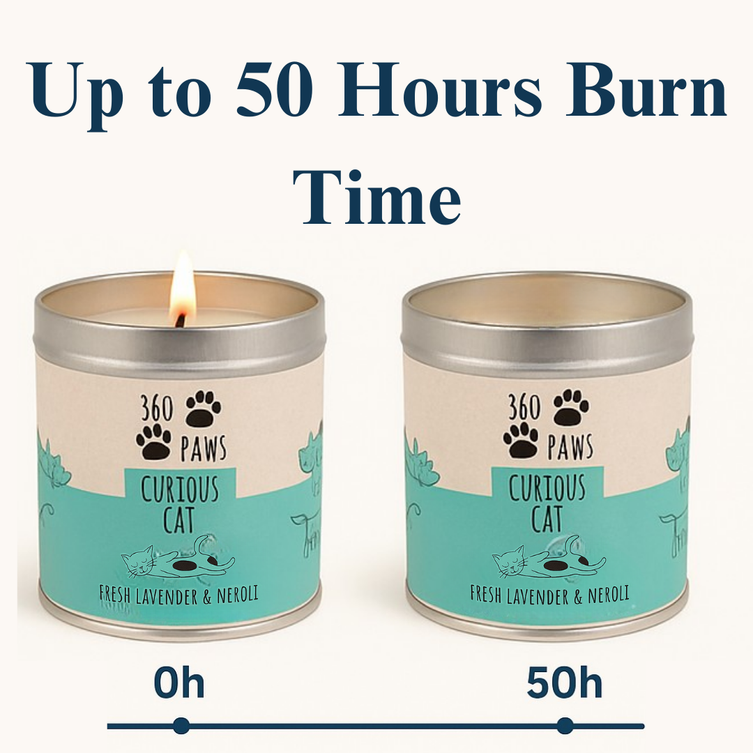 360 Paws Curious Cat Odour Neutralising Candle – Fresh Lavender & Neroli | 50hr Burn | Pet-Suitable Home Fragrance