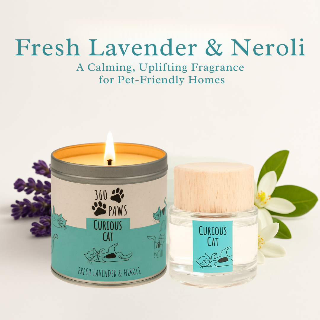 Curious Cat Odour Neutralising Candle & Diffuser 360 Paws