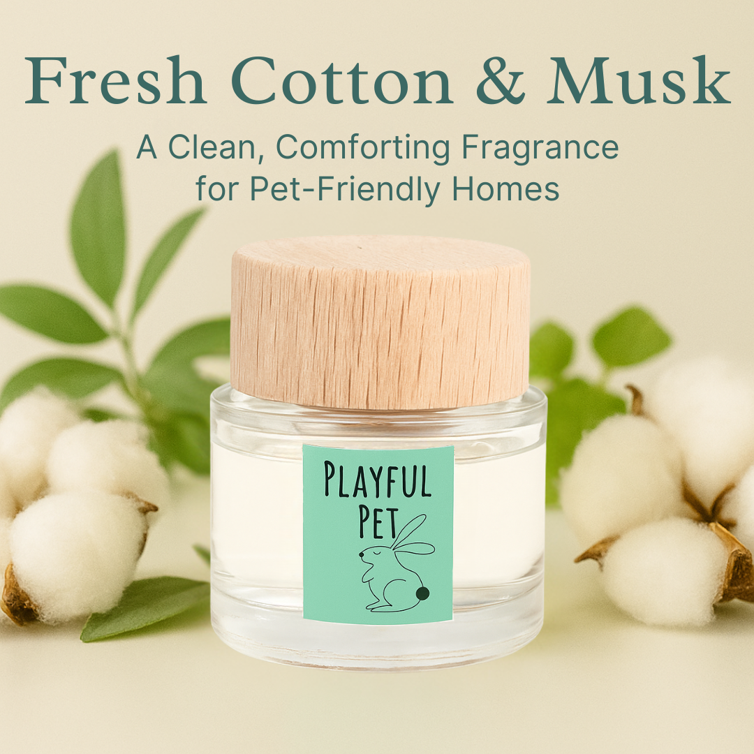 360 Paws Diffuser Trio – Pet Odour Neutralising 3-Pack with Lavender & Neroli, Jasmine & Tonka, Cotton & Musk (80ml Each)