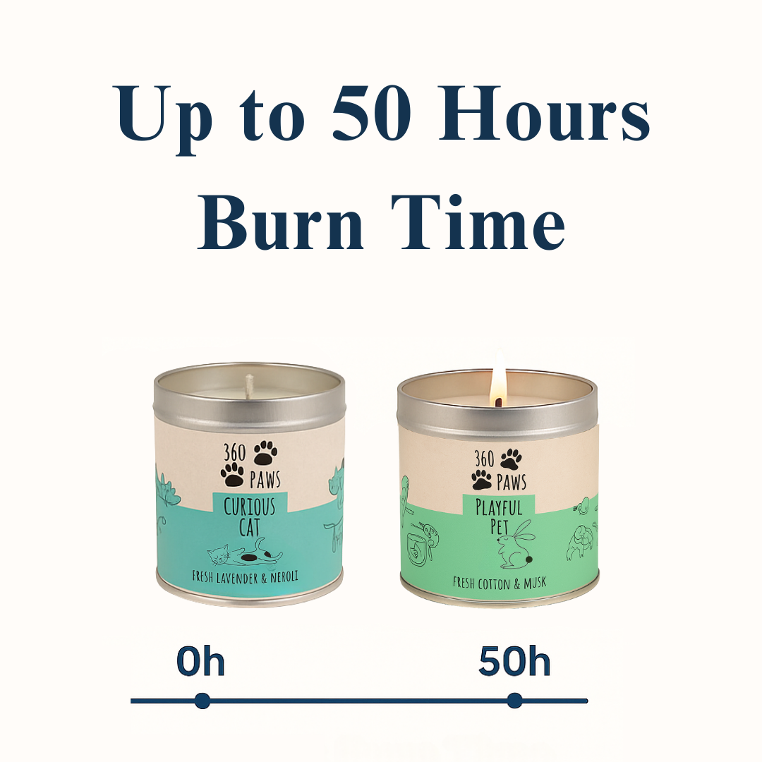 360 Paws Odour Neutralising Candle Trio – Playful Pet, Happy Hound & Curious Cat Fragrance Bundle