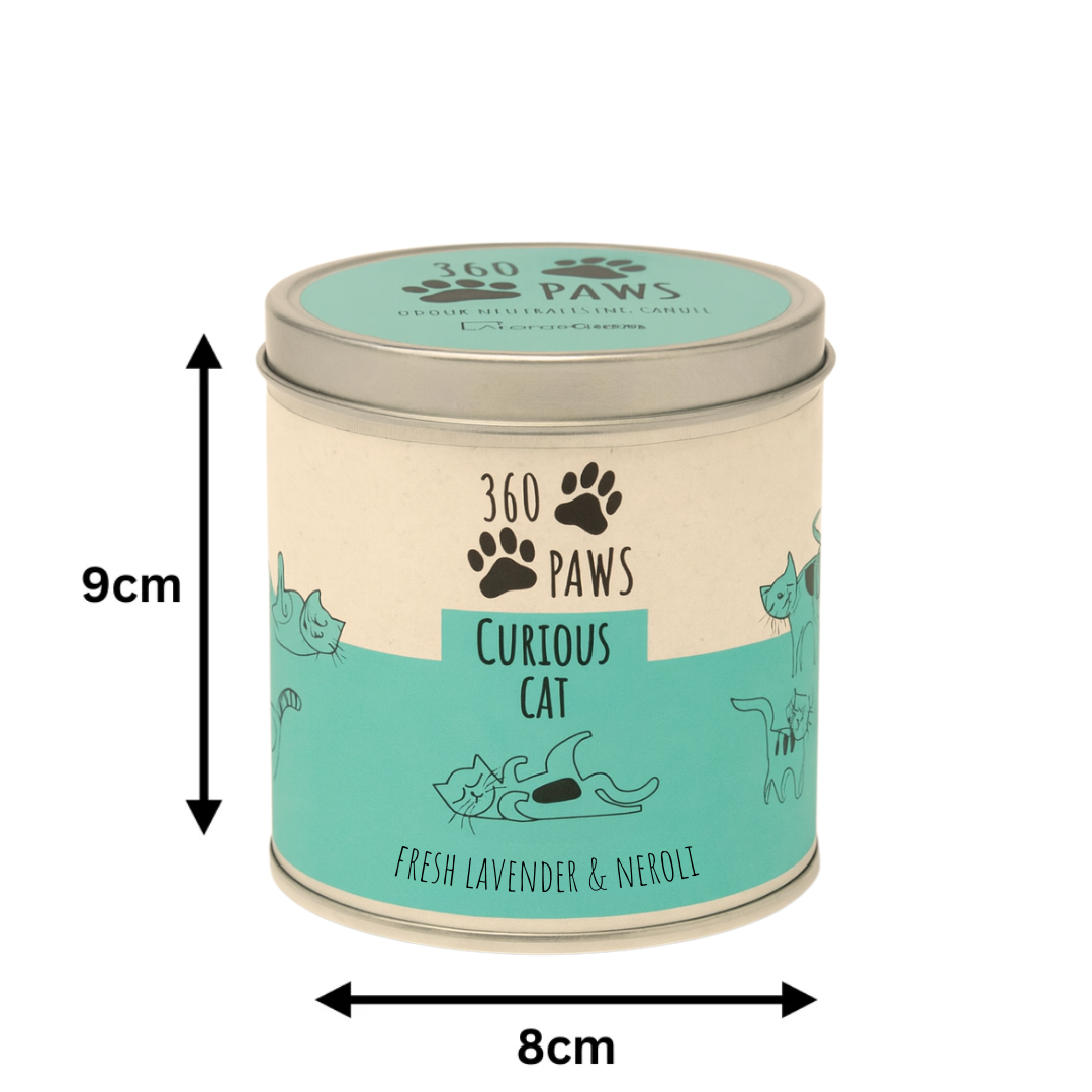 360 Paws Curious Cat Odour Neutralising Candle – Fresh Lavender & Neroli | 50hr Burn | Pet-Suitable Home Fragrance