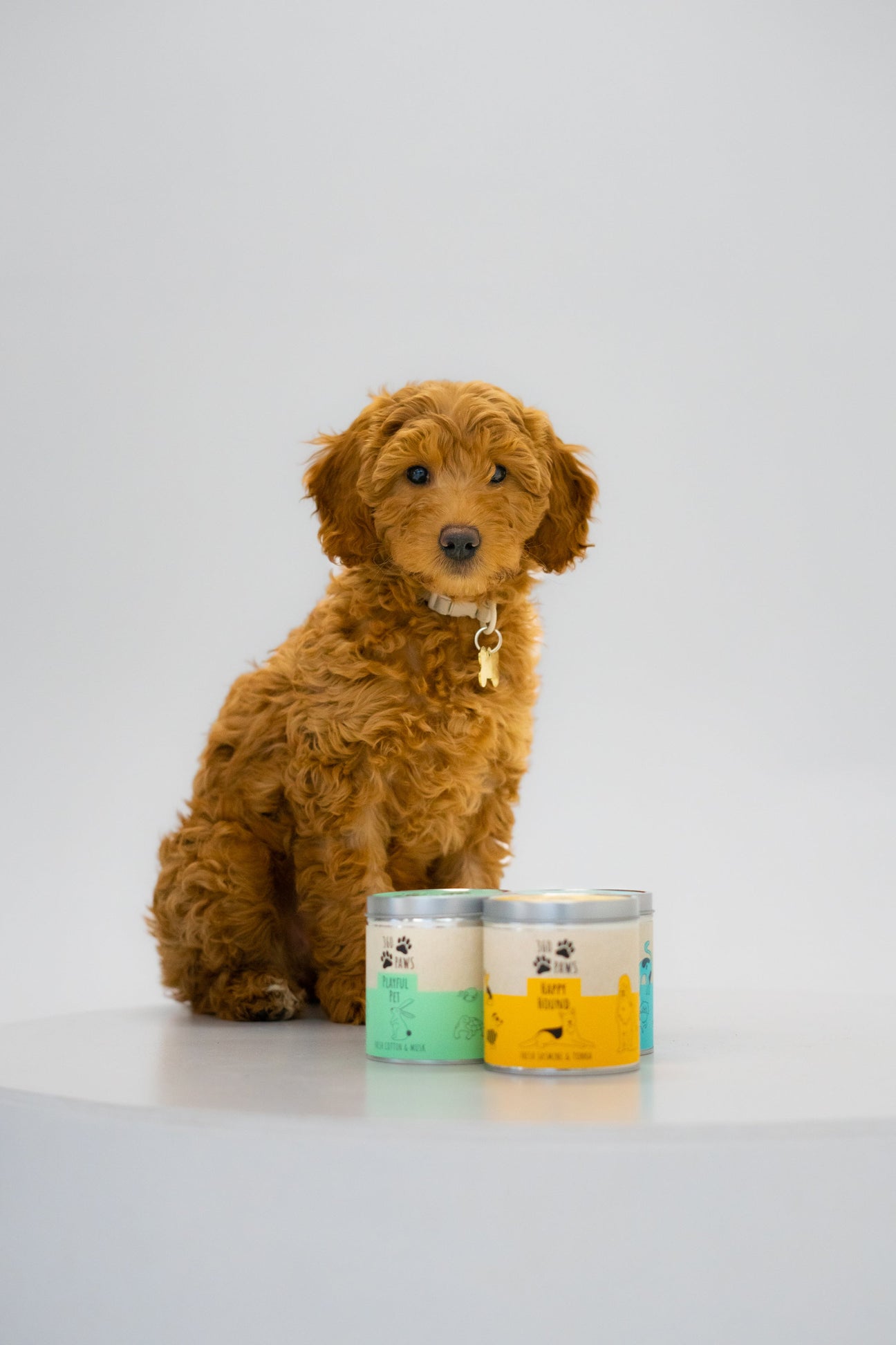 Pet-Friendly Candles & Diffusers