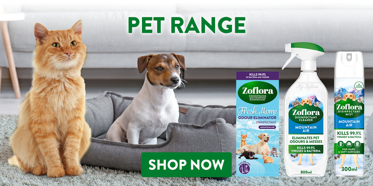Pet Products