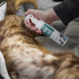 Dew First Aid Spray for Pets – 100% Mineral & Hypoallergenic 250ml