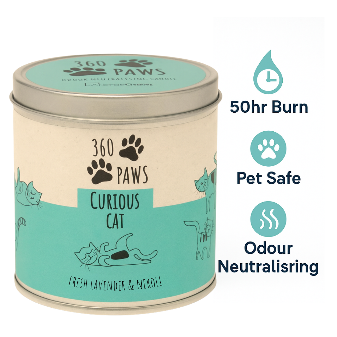 360 Paws Curious Cat Odour Neutralising Candle – Fresh Lavender & Neroli | 50hr Burn | Pet-Suitable Home Fragrance