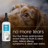 DEW Pet Wellness Essentials Bundle | Complete Everyday Care for Happy, Healthy Pets