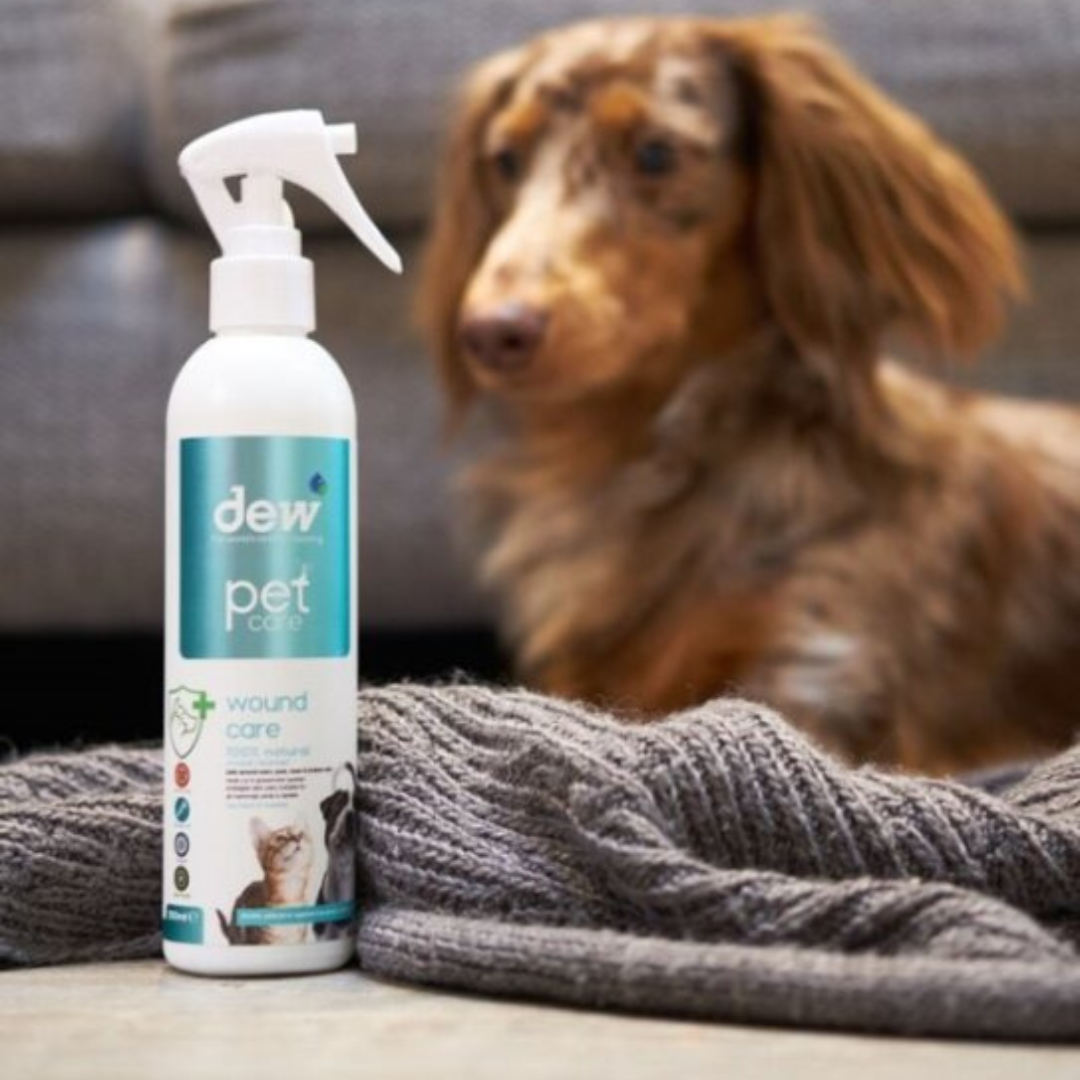 Dew First Aid Spray for Pets – 100% Mineral & Hypoallergenic 250ml