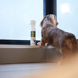 DEW Pet Deodoriser – 100% Mineral Hypoallergenic Anti-Bac Properties, Stops Smell, Fragrance-Free 300ML