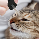 Dew Pet Eye Drops – 100% Mineral, Kind & Gentle Cleansing 65ML and 2.5 Litre refill