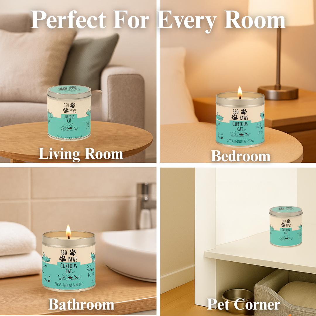 360 Paws Curious Cat Odour Neutralising Candle – Fresh Lavender & Neroli | 50hr Burn | Pet-Suitable Home Fragrance