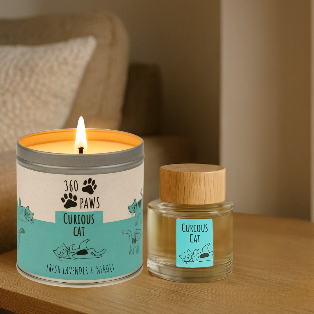 Curious Cat Odour Neutralising Candle & Diffuser 360 Paws