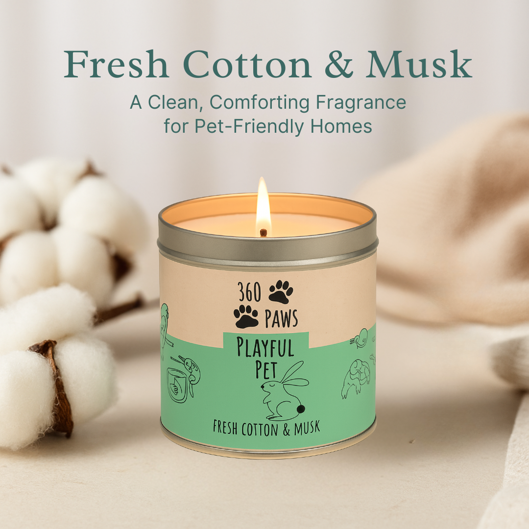 360 Paws Playful Pet Odour Neutralising Candle – Fresh Cotton & Musk | 50hr Pet-Safe AromaGuard™ Candle
