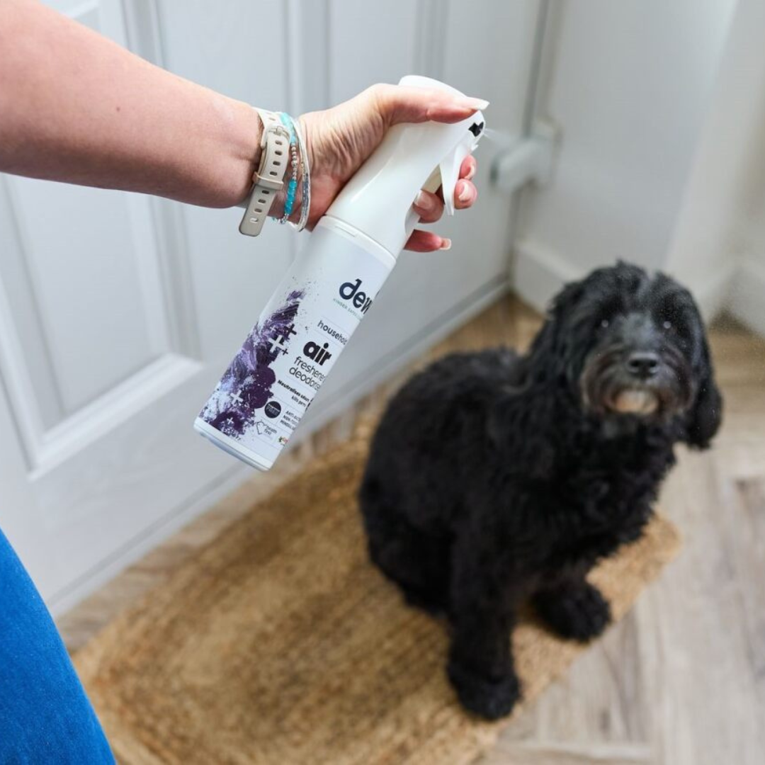 Dew Household Air Freshener & Deodoriser – Non-Toxic | Refillable