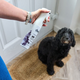 Dew Household Air Freshener & Deodoriser – Non-Toxic | Refillable