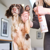 Dew Pet All-In-One Antibacterial – 100% Mineral & Fast Acting General Purspose Cleanser 500ml