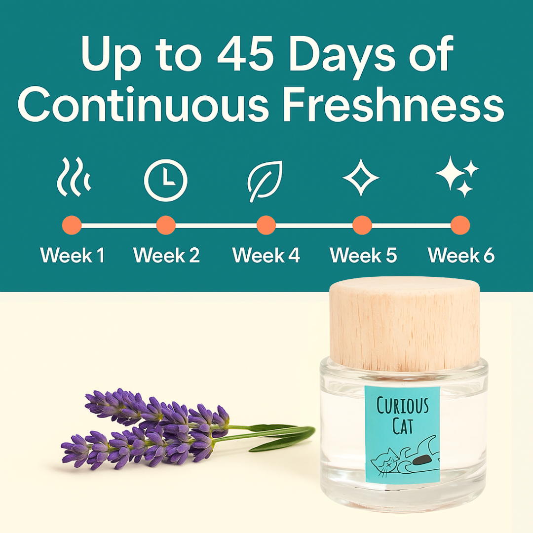 360 Paws Curious Cat Odour Neutralising Diffuser – Fresh Lavender & Neroli | No-Spill 80ml AromaGuard™ Pet Diffuser