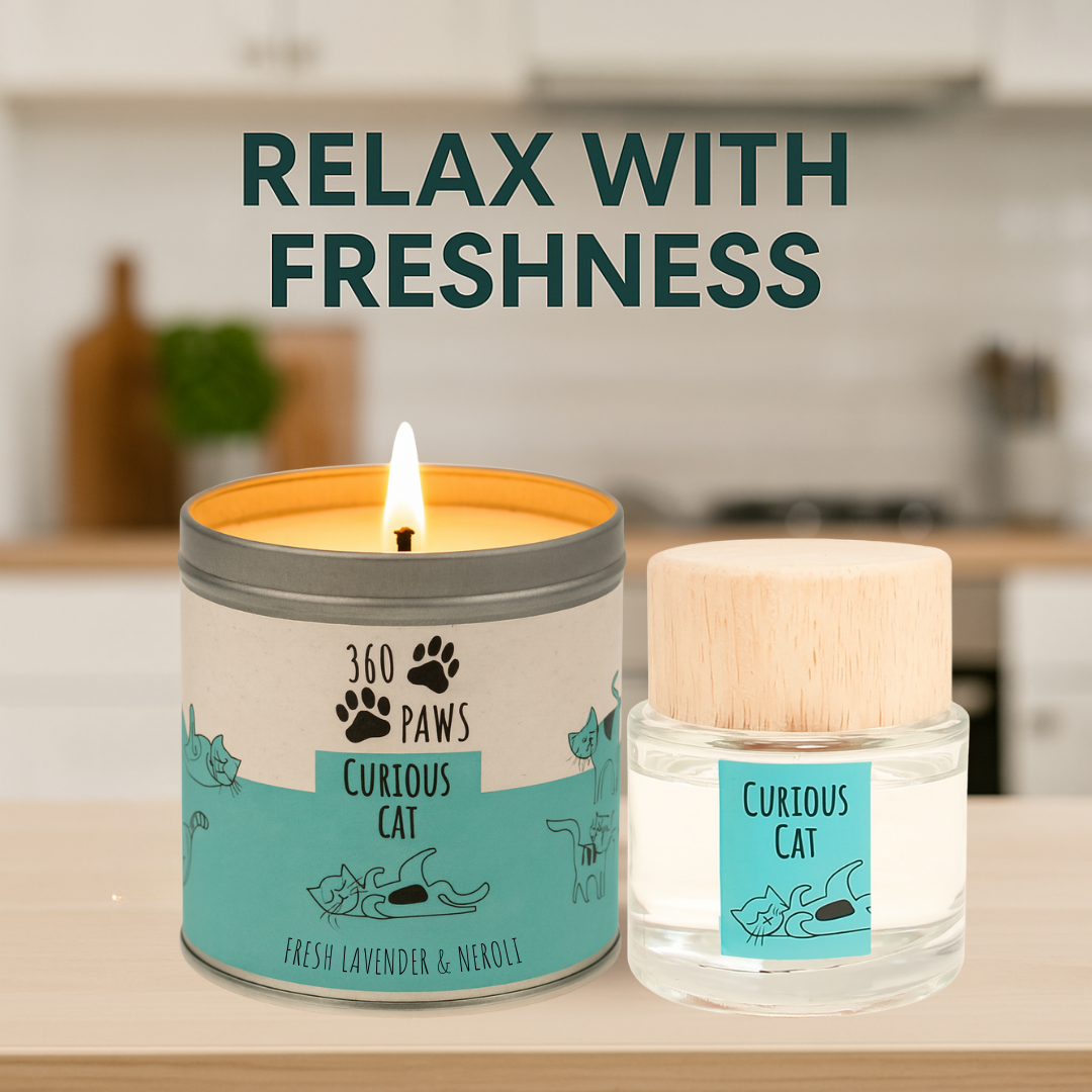 Curious Cat Odour Neutralising Candle & Diffuser 360 Paws