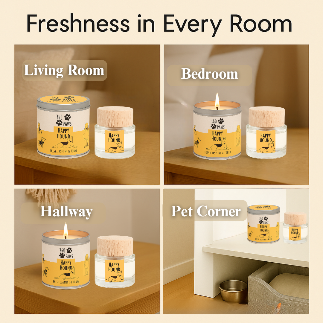 Happy Hound Candle & Diffuser Set – Pet Odour Neutralising | 360 Paws