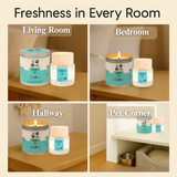 Curious Cat Odour Neutralising Candle & Diffuser 360 Paws