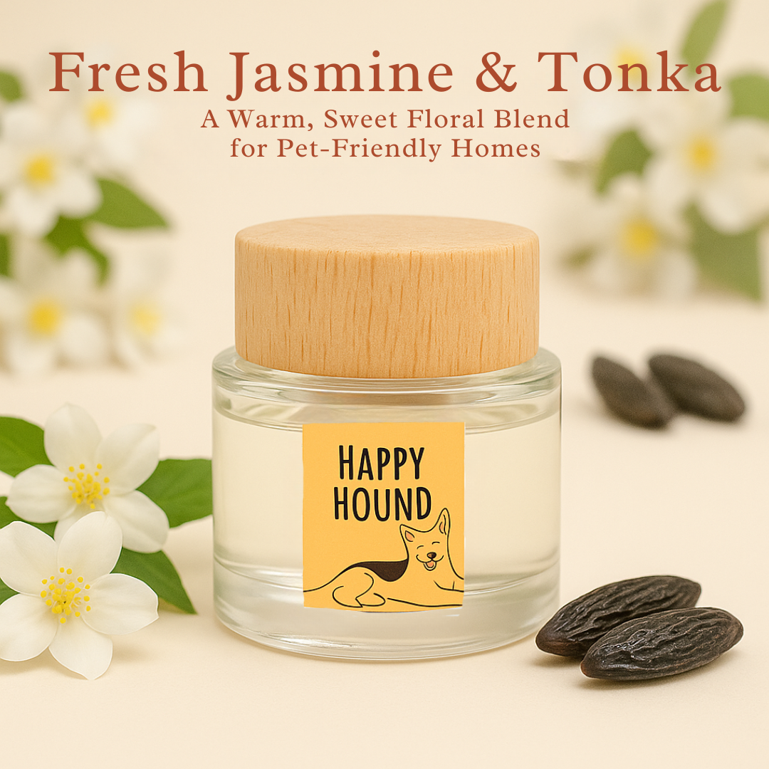 360 Paws Diffuser Trio – Pet Odour Neutralising 3-Pack with Lavender & Neroli, Jasmine & Tonka, Cotton & Musk (80ml Each)