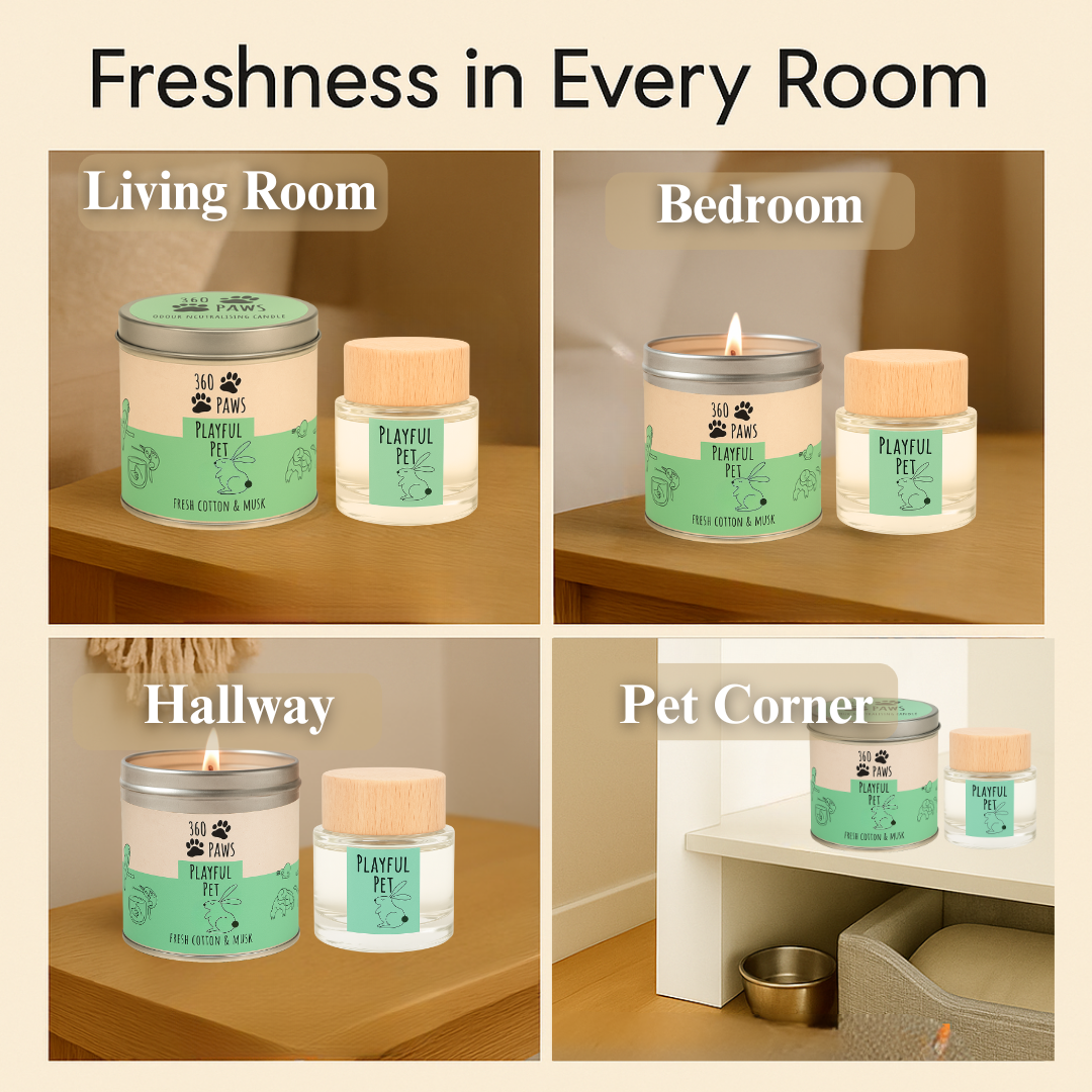 Playful Pet Odour Neutralising Candle & Diffuser – 360 Paws Home Fragrance Set