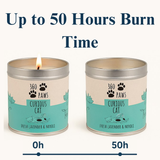 360 Paws Curious Cat Odour Neutralising Candle – Fresh Lavender & Neroli | 50hr Burn | Pet-Suitable Home Fragrance