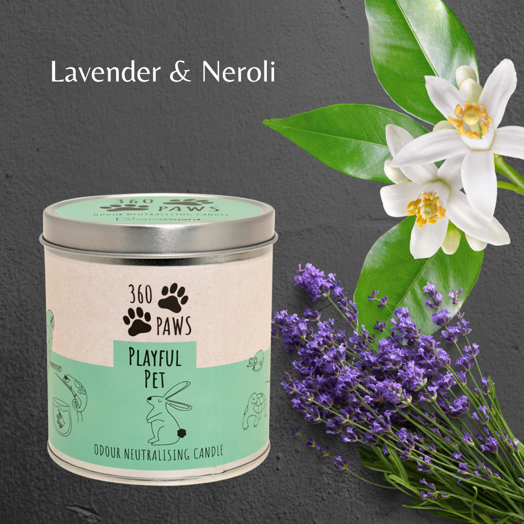 Playful Pet Candle - Fresh Cotton & Musk